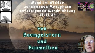 Mond Geflüster von Baumgeistern und Baumelben [upl. by Ellord]