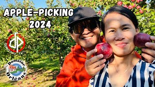 Domaine Orléans  Cidery amp Orchard applepicking 2024 [upl. by Irmo984]