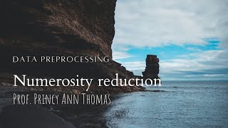 Data Preprocessing  Numerosity reduction [upl. by Stegman]