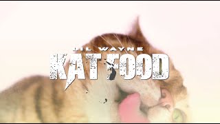 Lil Wayne  Kat Food Official Lyric Video [upl. by Erastus]