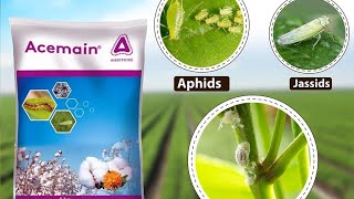 Adama Acemain Aceohate 75 SP Insecticide [upl. by Refotsirc278]