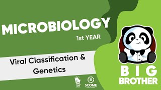 Viral Classification amp Genetics [upl. by Nirihs]