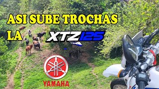 Subiendo Lomas empinadas y trochas con la Xtz 125 [upl. by Eed124]