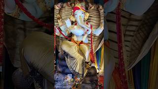 Malabar hill cha Raja darshan 2024 [upl. by Bollen]