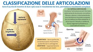 CLASSIFICAZIONE DELLE ARTICOLAZIONI [upl. by Rolland135]