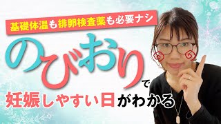 【排卵何日前？】「のびおり」で妊娠しやすい日がわかる！【妊活中のタイミング】 [upl. by Inuat948]