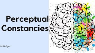 Perceptual constancies psychology BBA BBS BBM TU [upl. by Trela500]