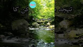 Ishiq ki namaz wo hote hai viralvideo guidance [upl. by Tedra]