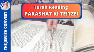 PARASHAT KI TEITZEI  Weekly Torah Reading in Hebrew amp English Translation  TORAH STUDY [upl. by Ssegrub]