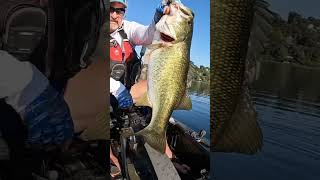 Who else fishes the Yamacraw kayakbassfishing largemouthbass clearlake bassfishing bigbass [upl. by Delainey]