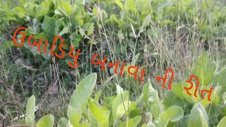 ઉબાડિયુ બનાવા ની રીત Ubadiyu banavani rit [upl. by Lissy175]