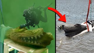 Incredible amp Bizarre Underwater Discoveries [upl. by Bixler]