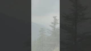 nature lovemusic travel travelingsong lovesong mountains shimla shortvideo trending viral [upl. by Aneeb]