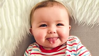 Funny Baby Videos  The Cutest Chubby Baby Compilation [upl. by Elise614]