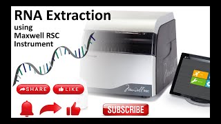 RNA Extraction using automated Promega Maxwell RSC Instrument [upl. by Ariana]