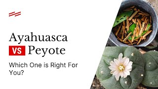 Ayahuasca vs Peyote Which one is right for you [upl. by Llevad]