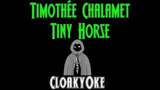 Timothée Chalamet  Tiny Horse karaoke [upl. by Enyalb18]