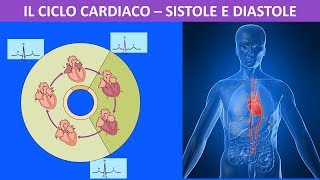 Sistema circolatorio  il ciclo cardiaco sistole e diastole [upl. by Roberts]