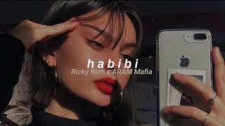 Ricky Rich x ARAM Mafia  Habibi slowed  reverb [upl. by Iramohs]