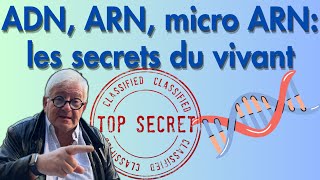 ADN ARN et micro ARN  les secrets du prix Nobel 2024 [upl. by Silliw]