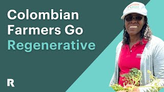 Colombia’s Farmers Go Regenerative [upl. by Otirecul]