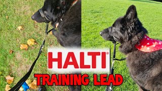 Halti Training Lead Review  German Shepherd [upl. by Marquis]