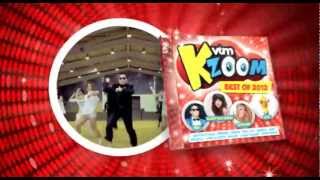 VTM KZOOM HITS BEST OF 2012  2CD  TVSpot [upl. by Massiw23]