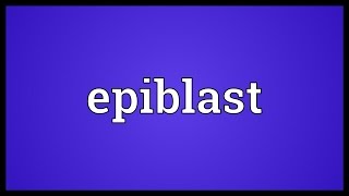 Epiblast Meaning [upl. by Ahsats]