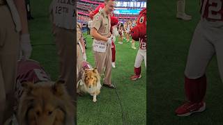 Arkansas Mascots Meet Reveille at Texas AampM vs Arkansas 😍👀🏈 [upl. by Agnese]