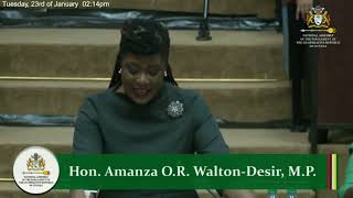 Hon Amanza WaltonDesir Full Budget Speech 2024 [upl. by Nedap]