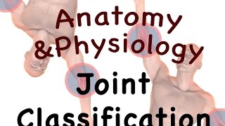 Joints and Articulations  Classification Structure 0806 [upl. by Trilbee]