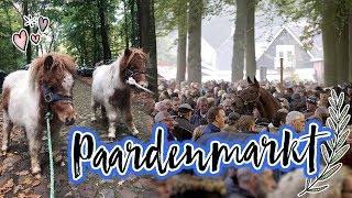 Vlog23 Ponys redden van de slacht  Paardenmarkt Zuidlaren [upl. by Neeluqcaj]