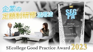 【社内研修】サブスク研修SEカレッジをどう活用する？NDR社に学ぶ！社員に響く効果的な研修の組み立て方 [upl. by Eidnac497]