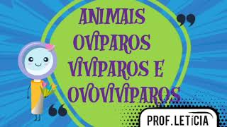 ANIMAIS OVÍPAROS VIVÍPAROS E OVOVIVIPAROS PARA O 3° ANO [upl. by Andi]