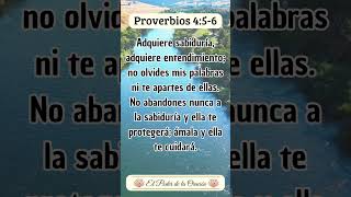 Mensaje Bíblico de hoy Proverbios 456 MensajesBiblia Fe VersiculoDeLaBiblia TextosBiblicos [upl. by Bengt]