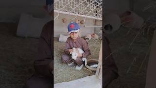 KESY PAKRA KHARGOSHmaagaria rabbit vlog cute [upl. by Regazzi]