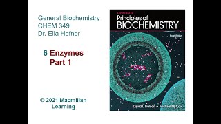 Chapter 6  Enzymes Part 1 [upl. by Lleznod]