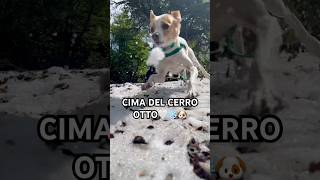 Cerro otto🐶🫶🏻⛰️ cerrootto cerroottobariloche unmatambritodeviaje ypfッ argentina🇦🇷 juanfer [upl. by Suzetta]