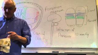 Brain and head injuries lesson 1 Introduction intracranial pressure and level of consciousness [upl. by Yadnus]