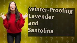 How Can I WinterProof My Lavender and Santolina Plants [upl. by Asatan892]