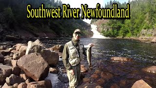 Atlantic Salmon Fly Fishing Southwest River Newfoundland fishing fish salmon flyfishing [upl. by Avla]