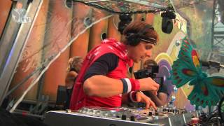 Tomorrowland 2013  Martin Solveig [upl. by Loziram]