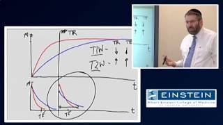 Introducing MRI NMR Contrast 12 of 56 [upl. by King]