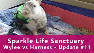 Wylee vs Harness  Update 11 [upl. by Eoj]