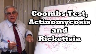 Coombs Test Actinomycosis and Rickettsia [upl. by Liarret]