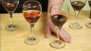 Types of Red Wine  Zinfandel Wine Facts [upl. by Fadden]