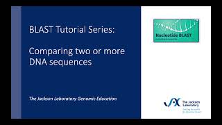 BLAST Tutorial Series Comparing two or more DNA sequences [upl. by Mallory]