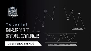 Market structure Identifying trends [upl. by Macpherson]