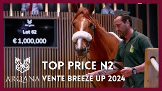 Top Price N°2  1 000 000EE  N CURLYLOCKS 2022  M22  Vente Arqana Breeze Up 2024 [upl. by Lekcar819]