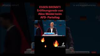 Essen brennt AFD Parteitag  Phönix [upl. by Cozza297]